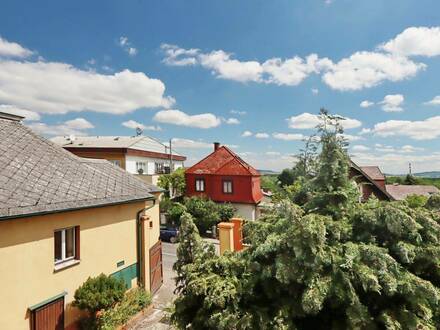 EHEMALIGES WINZERHAUS MIT 2 NEBENGEBÄUDEN UND ORDINATION