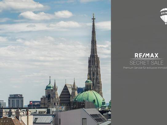 Uniqe Rooftop Apartment in the heart of Vienna