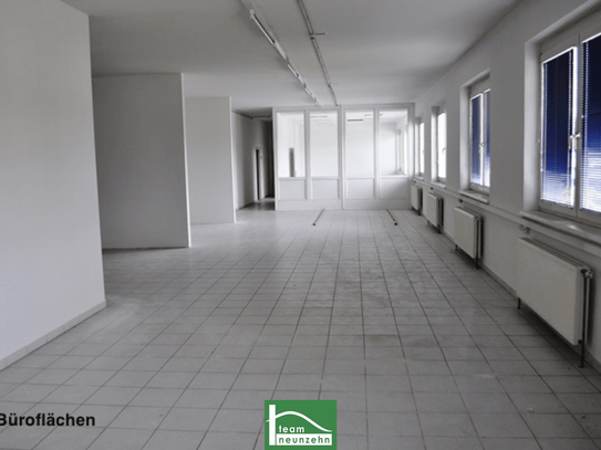 Büro, Geschäft, Werkstatt, Lager! Industriegelände Donnerskirchen! ab 10 m² ab 80€ Netto/Monat!