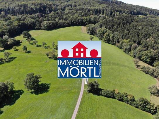 10 ha Grünland und Forstwirtschaftsflächen in Feichsen