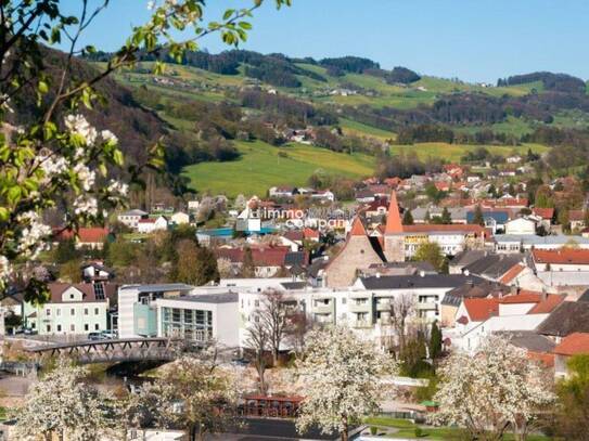 2-Zimmer Gartenwohnung mit Terrasse und einem Kachelofen - Koffer packen und einziehen!!!