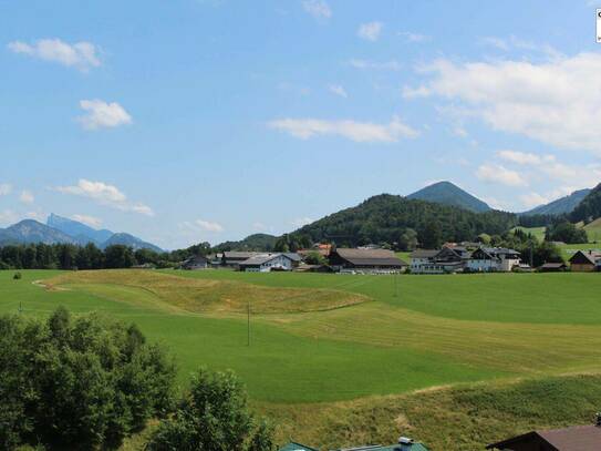 Hof bei Salzburg: 4-Zimmer Wohnung mit großer Terrasse und Garten zum Erstbezug