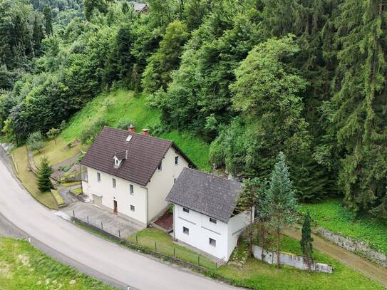 Köflach! Bauernhaus in ruhigen Waldrandlage