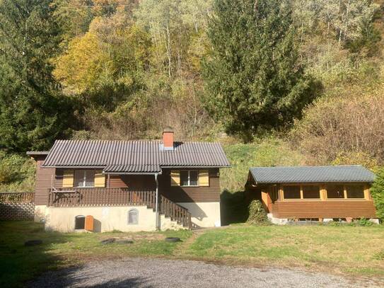 2 Grundstücke mit bestehenden Einfamilienhaus, Wald und viel Entwicklungspotential