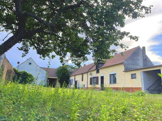 Burgenländischer Traditions-Weinbauern-Streckhof