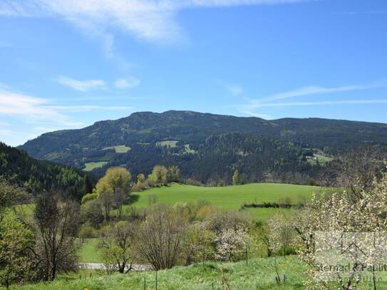 RESERVIERT | Wunderschönes Feriendomizil | nahe Zirbitzkogel |absolute Ruhelage