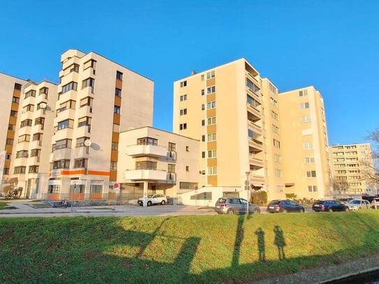 Geräumige 3 Zimmer Wohnung mit Loggia und herrlichem Ausblick zum aufpolieren