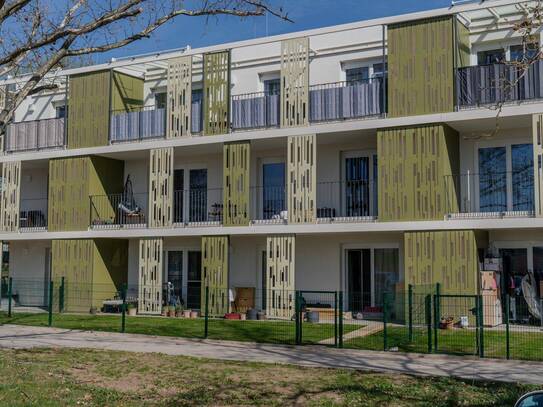 4 Zimmer Familientraum mit großzügiger Freifläche in Auersthal