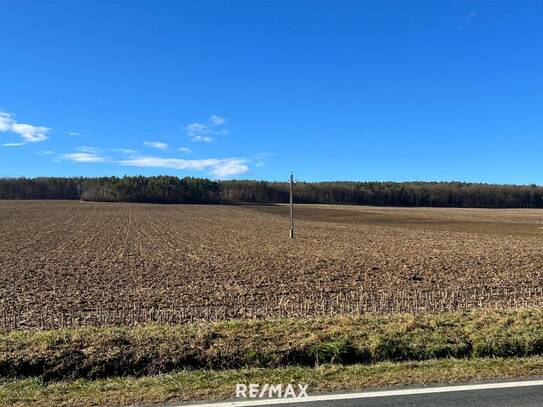 PROVISIONSFREI f. d. Käufer! GROSSE landwirtschaftliche Flächen (ca. 27 ha!) und ein Waldgrundstück! BEZIRK OBERWART!