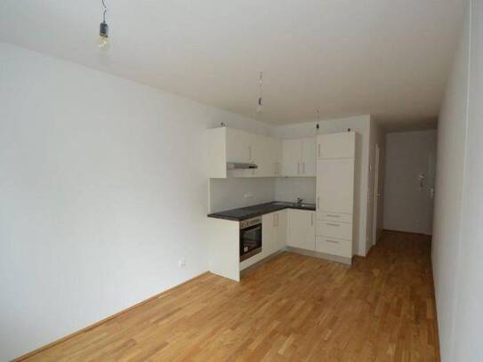 Zentrum/Annenviertel - 41 m² - 2 Zimmer - tolle Singlewohnung - 6 m² Loggia - ab sofort