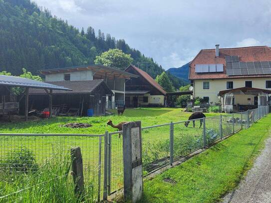 Hofgebäude mit Stallungen und Scheune im Metnitztal