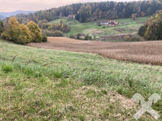 Ackergrundstück mit Wiese Nähe Feldbach