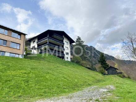 Riesenhaus mit 4 Grundstücken