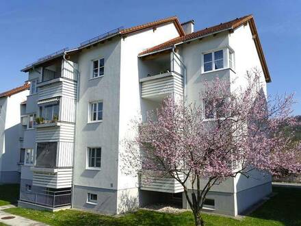 Freundliche 3-Zimmer-Wohnung mit schönen Gebirgsblick und sonniger Loggia