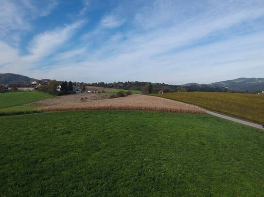 Landwirtschaftlicher Nutzgrund direkt an Aichbergstraße