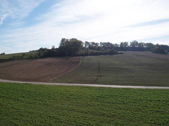 Landwirtschaftlicher Nutzgrund