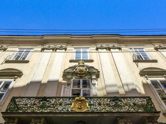 Gut aufgeteiltes Büro - zentral begehbar - historisches Palais - Nähe Hofburg