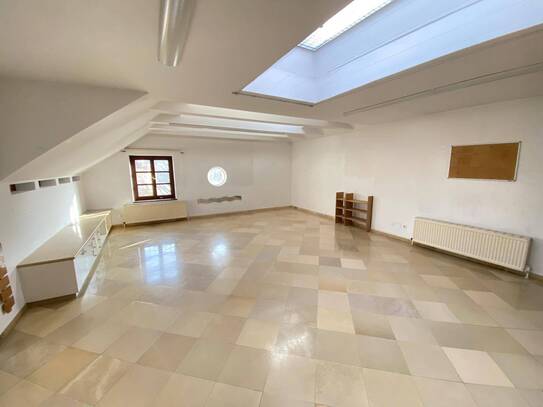 BESTLAGE IN ALTURFAHR - 4 ZIMMER TERRASSENWOHNUNG MIT DONAUBLICK