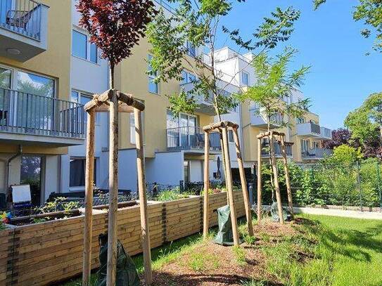 bezugsfertig - 3-Zimmer Wohnung mit Balkon