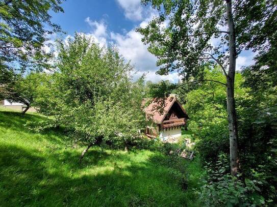 Traumhaftes Landhaus mit 5.100m² Grund in der Nähe von Wien