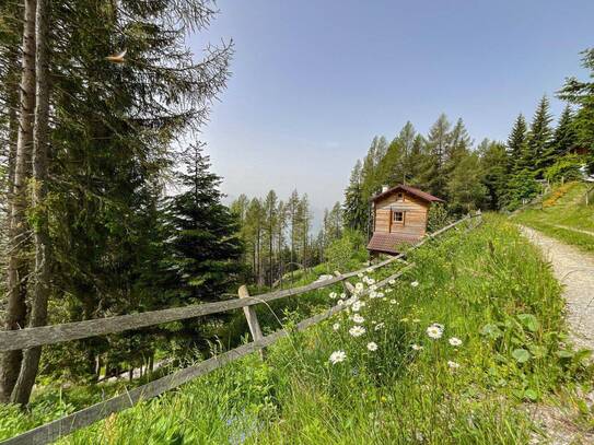 NATURJUWEL UND ABSOLUTE RARITÄT AM TSCHIERNOCK - OBERHALB DES MILLSTÄTTER SEES! HIGHLIGHT: FREIZEITWOHNSITZWIDMUNG!