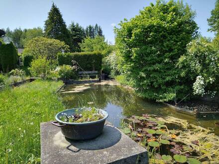 SCHWIMMTEICH IM EIGENEN GARTEN & GRÜN, SO WEIT DAS AUGE REICHT