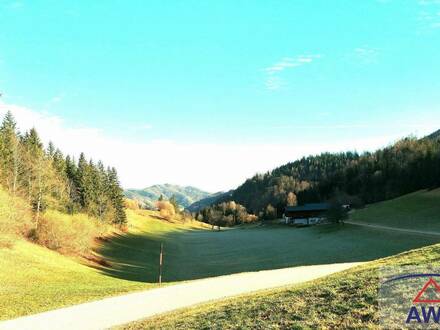 ALLEINLAGE - Bio-Bauernhof mit ca. 36 ha landw. Grund!!!!