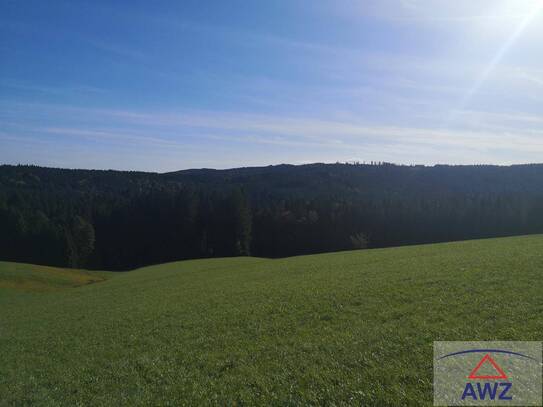 Verkaufe landwirtschaftliches Grundstück und Baugrund im Raum Mondsee!