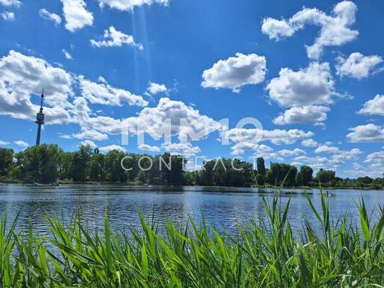 Bei der Alten Donau* Auf Eigengrund* Traumhafte Garten- Maisonettewohnung *provisionsfrei*