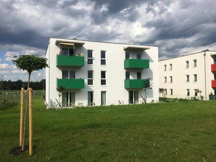 00226 00051 Betreutes Wohnen in Wieselburg