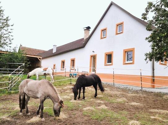 Selbstversorgerhit zum Träumen!