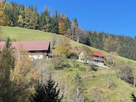 60 ha Land- & Forstwirtschaft mit altem Bauernhaus in Panoramalage