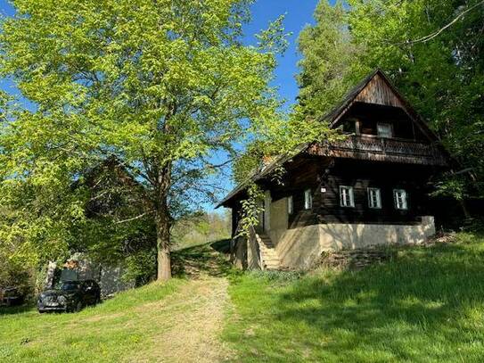 Weststeirisches Bauernhaus sanierungsbedürftig mit Nebengebäude 3,8 ha Wiese und 7,2 ha Wald