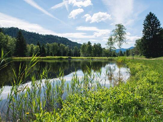 NATURPARADIES LÄNGSEE IN KÄRNTEN! NEUE 43 m² FERIENWOHNUNG MIT PRIVATTEICH! TOURISTISCHE VERMIETUNG! LETZTE CHANCE!