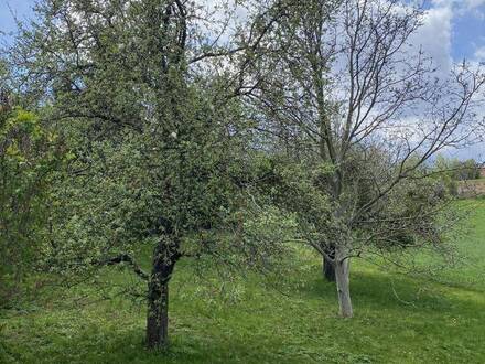*PREISSENKUNG* Charmantes Häuschen mit großem Garten in der Oststeiermark