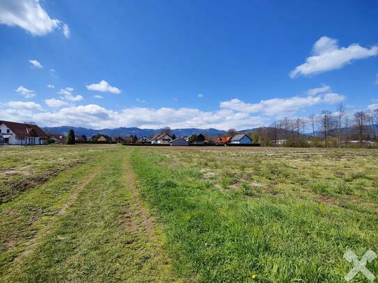 WOHNPARK ERLENWEG - Reihenhäuser in begehrter Lage