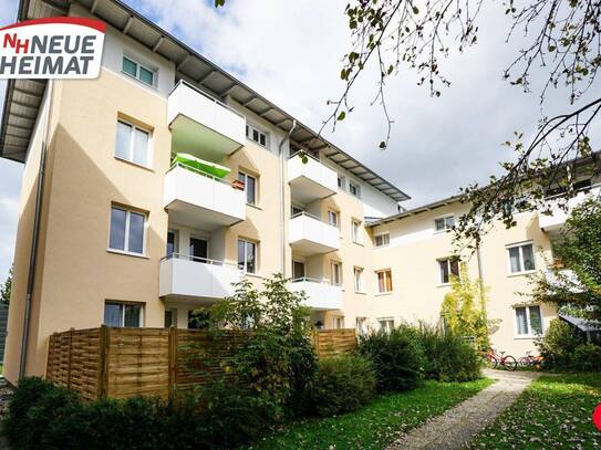 DACHGESCHOSSWOHNUNG MIT BALKON IN SCHWANENSTADT AB November 2024 VERFÜGBAR!