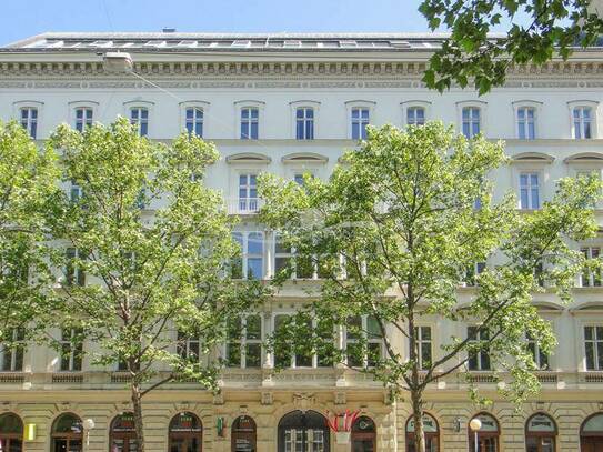 Sonnige Neubauwohnung im Palais Rohan