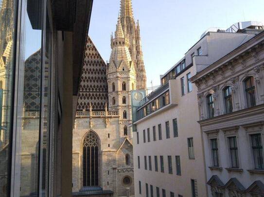 Schöne zwei Zimmer Wohnung mit Blick auf den Stephansdom!