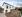 Neubau - 6-Zimmer Einfamilienhaus in ruhiger Lage in Kittsee