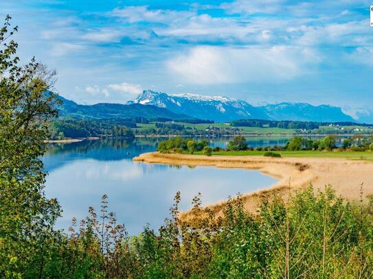 CAMPINGPLÄTZE am Wallersee zu kaufen