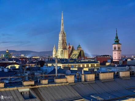 Lichtdurchflutetes LUXUS-Penthouse mit POOL und einzigartigen Ausblick im ZENTRUM von WIEN...