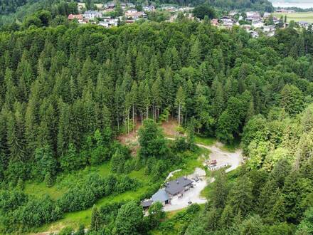 UNIKAT - Rohbau mit Potential auf großem Waldgrundstück mit Quellen