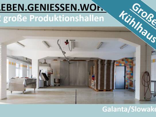 GEWERBEOBJEKT MIT PRODUKTIONSHALLEN & KÜHLHAUS