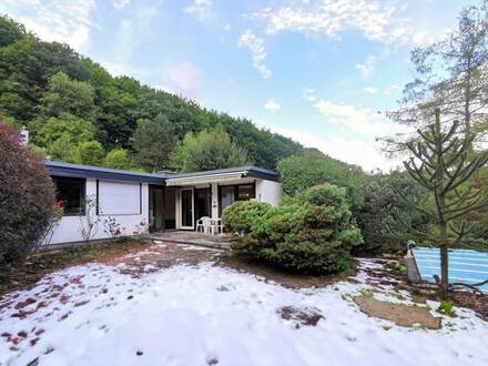 Rarität im Wienerwald: Massiv gebauter, unterkellerter Bungalow in Grünruhelage auf einzigartigem, sonnigen Grundstück