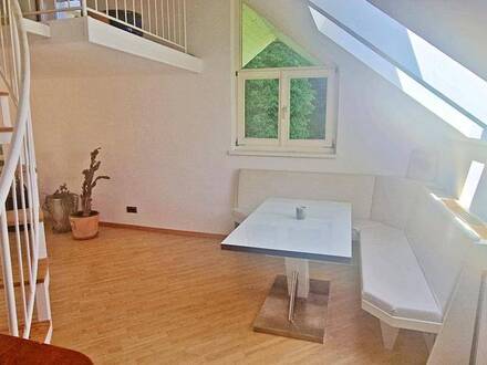 Loftähnliche Wohnung mit kleiner Galerie - Parkplatz inklusive! In Elsbethen mitten in der Natur!