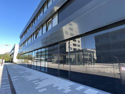 Puch/Urstein: Büroflächen im Wissenspark!