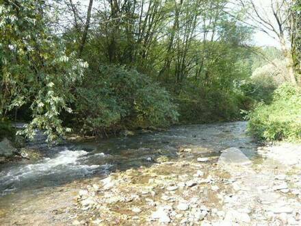 Fischereirecht an der Kainach