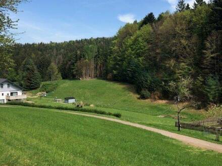 Traumhaftes Sacherl mit 2 Wohneinheiten - perfekt saniert, 9 Zimmer, großzügiger Garten, nur 1.050.000,00 €!