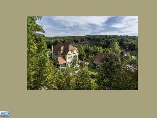 HERRSCHAFTLICH JAGDSCHLOSS INMITTEN MÄRCHENHAFTER NATUR!